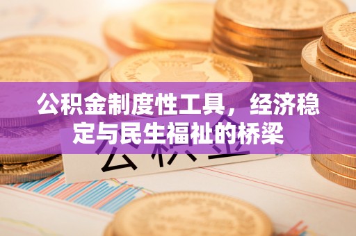 永年公积金制度性工具，经济稳定与民生福祉的桥梁