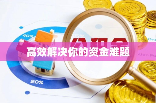 永年高效解决你的资金难题