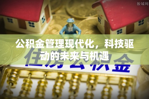 永年公积金管理现代化，科技驱动的未来与机遇