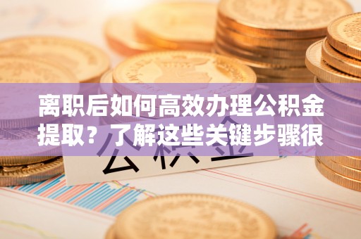 永年离职后如何高效办理公积金提取？了解这些关键步骤很重要！