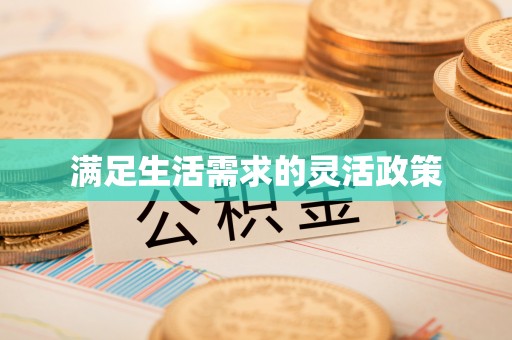 永年满足生活需求的灵活政策