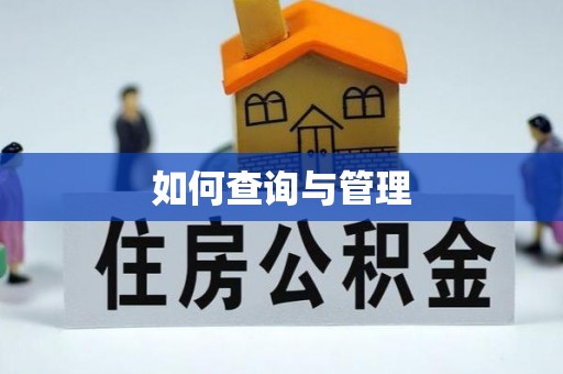 永年如何查询与管理