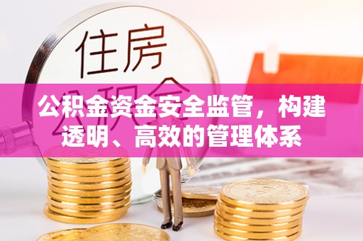 永年公积金资金安全监管，构建透明、高效的管理体系