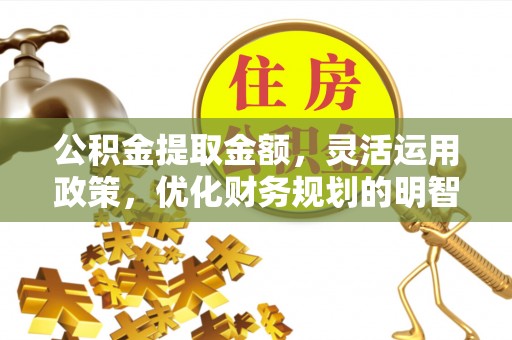 永年公积金提取金额，灵活运用政策，优化财务规划的明智选择