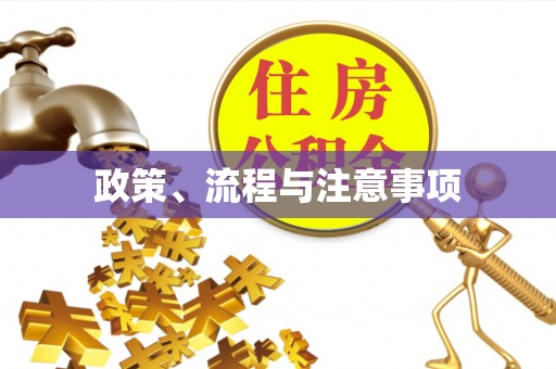 永年政策、流程与注意事项