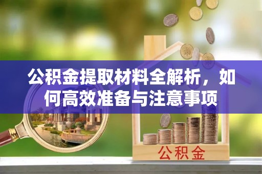 永年公积金提取材料全解析，如何高效准备与注意事项