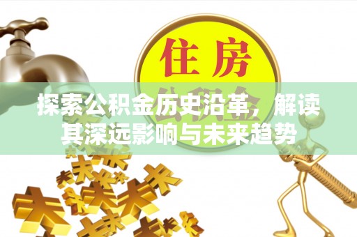 永年探索公积金历史沿革，解读其深远影响与未来趋势