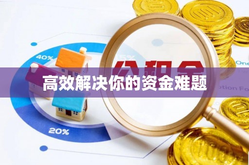 永年高效解决你的资金难题