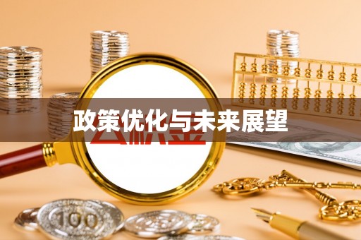 永年政策优化与未来展望