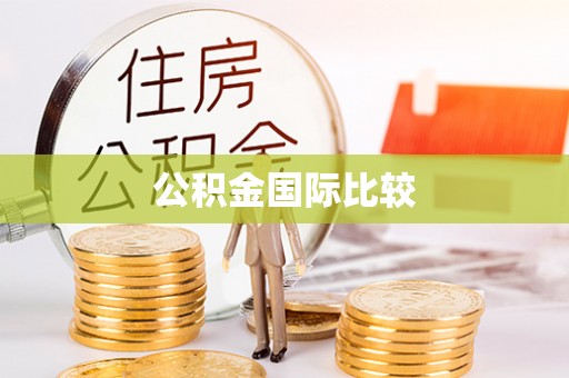 永年公积金国际比较