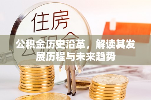 永年公积金历史沿革，解读其发展历程与未来趋势