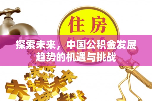 永年探索未来，中国公积金发展趋势的机遇与挑战