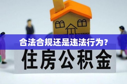 永年合法合规还是违法行为？