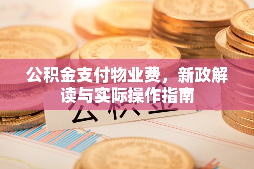 永年公积金支付物业费，新政解读与实际操作指南