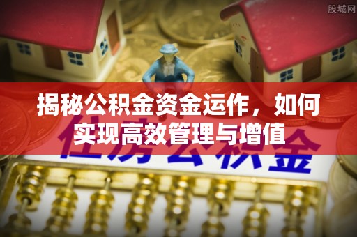 永年揭秘公积金资金运作，如何实现高效管理与增值