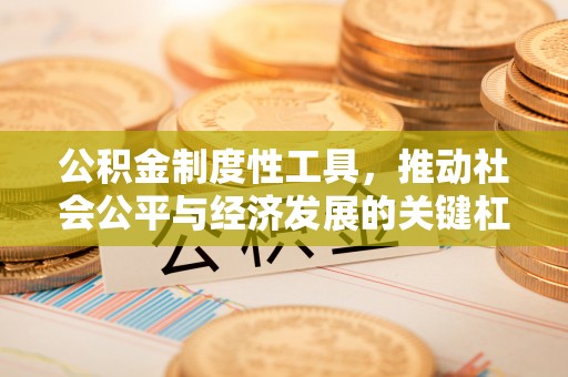 永年公积金制度性工具，推动社会公平与经济发展的关键杠杆