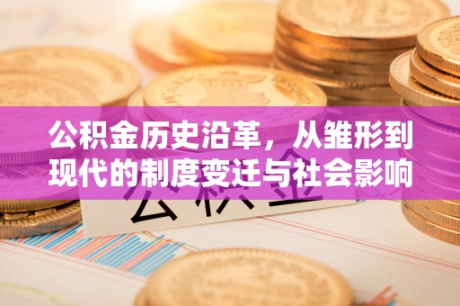 永年公积金历史沿革，从雏形到现代的制度变迁与社会影响
