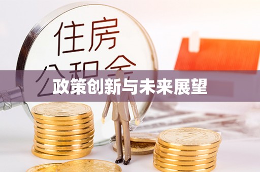 永年政策创新与未来展望