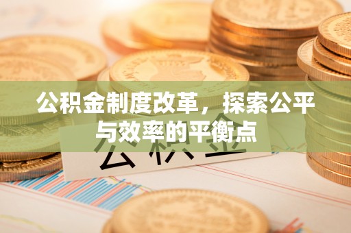 永年公积金制度改革，探索公平与效率的平衡点